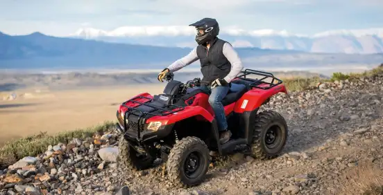 HONDA-TRX 420 FOURTRAX 4X4-2026
