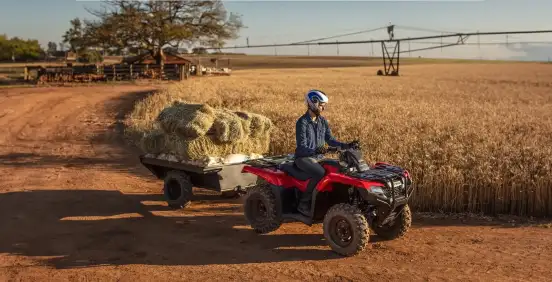 HONDA-TRX 420 FOURTRAX 4X4 HONDA-TRX 420 FOURTRAX 4X4-2026