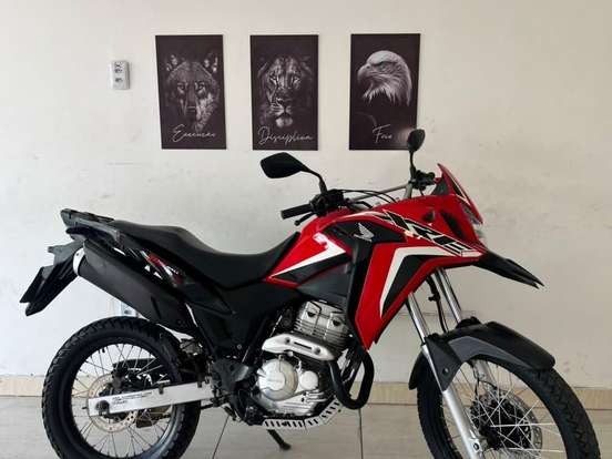 HONDA-XRE 300 RALLY HONDA-XRE 300 RALLY-2021