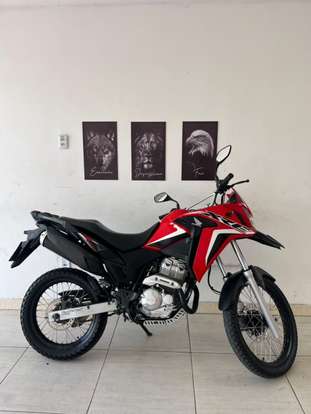 HONDA-XRE 300 RALLY-2021