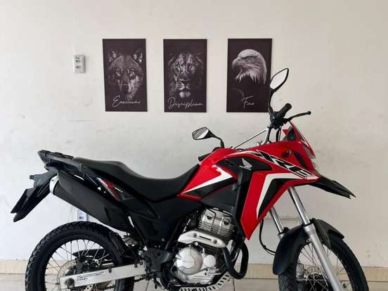 HONDA-XRE 300 RALLY HONDA-XRE 300 RALLY-2021