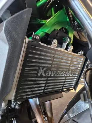 KAWASAKI-Z500 SE KAWASAKI-Z500 SE-2025