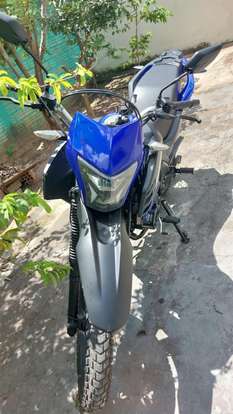 SHINERAY-SHI 175-2025