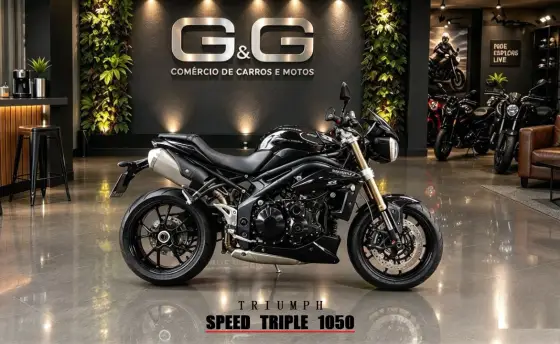 TRIUMPH SPEED TRIPLE 