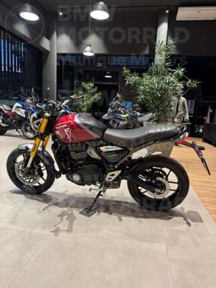 TRIUMPH-SPEED 400-2024