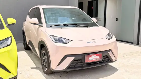 BYD DOLPHIN MINI 38 KW ELÉTRICO 5L