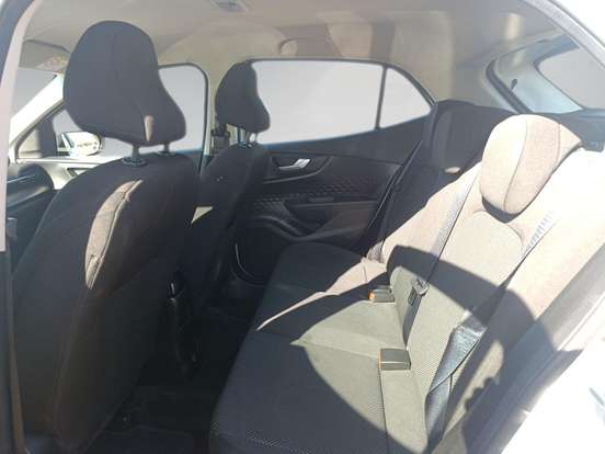 FIAT-PULSE-2023