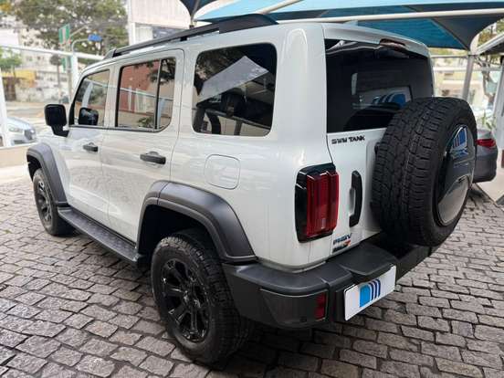 GWM-TANK 300-2025