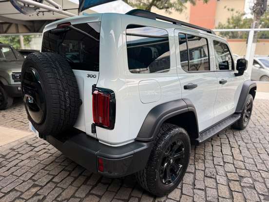 GWM-TANK 300-2025