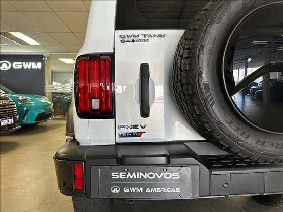 GWM-TANK 300-2025