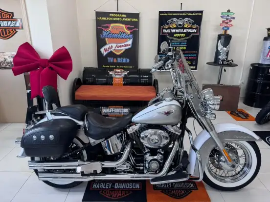 HARLEY-DAVIDSON-SOFTAIL DELUXE HARLEY-DAVIDSON-SOFTAIL DELUXE-2009