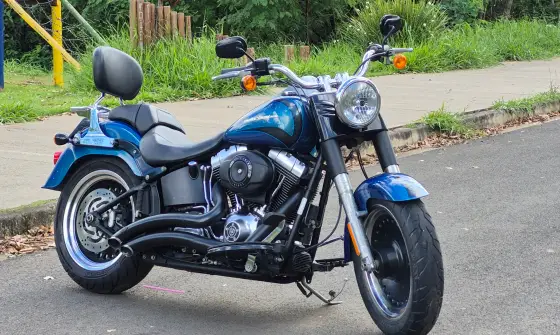 HARLEY-DAVIDSON SOFTAIL FAT BOY SPECIAL 