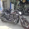 HARLEY-DAVIDSON V-ROD MUSCLE HARLEY-DAVIDSON V-ROD MUSCLE