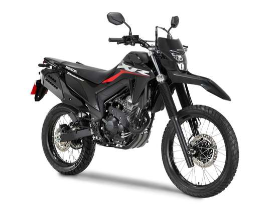 HONDA-XR 300L TORNADO HONDA-XR 300L TORNADO-2026