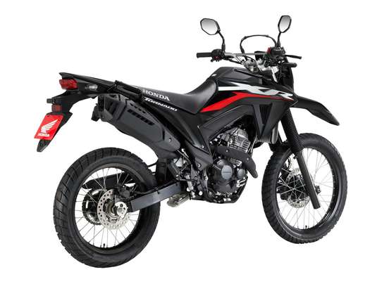 HONDA-XR 300L TORNADO HONDA-XR 300L TORNADO-2026