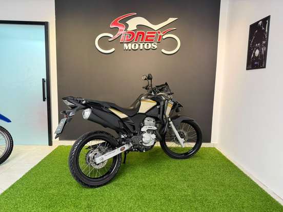 HONDA-XRE 300 ADVENTURE-2022