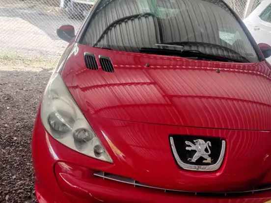 PEUGEOT-207-1.4 XR 8V FLEX 2P MANUAL PEUGEOT-207-2011