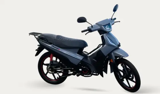 SHINERAY PHOENIX S 50 