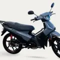 SHINERAY PHOENIX S 50 SHINERAY PHOENIX S 50