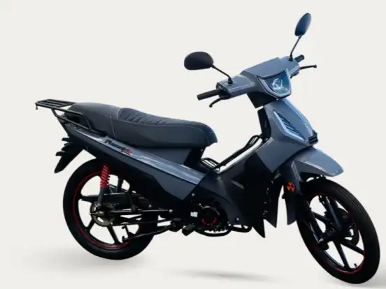 SHINERAY-PHOENIX S 50 SHINERAY-PHOENIX S 50-2026