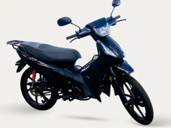 SHINERAY-PHOENIX S 50 SHINERAY-PHOENIX S 50-2026