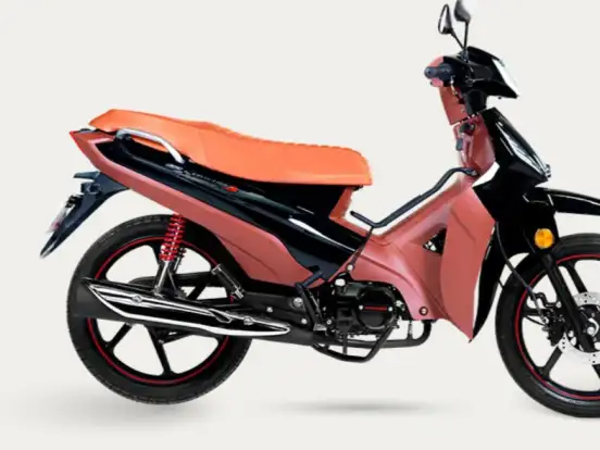 SHINERAY-PHOENIX S 50 SHINERAY-PHOENIX S 50-2026