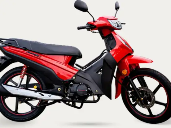 SHINERAY-PHOENIX S 50 SHINERAY-PHOENIX S 50-2026