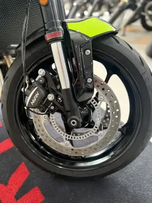 TRIUMPH-TRIDENT 660-2024