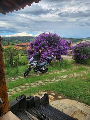 TRIUMPH-TIGER 900 RALLY PRO-2022