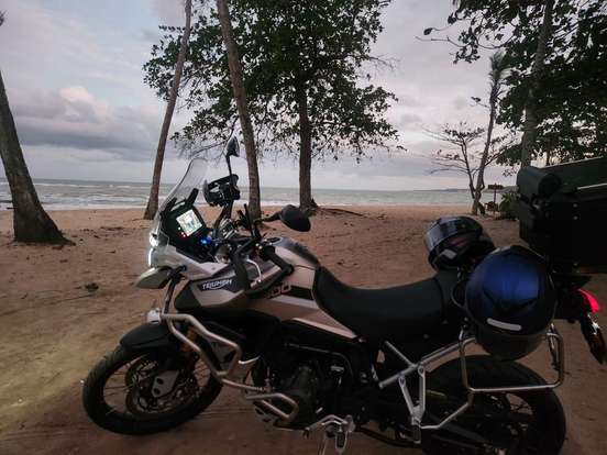 TRIUMPH-TIGER 900 RALLY PRO TRIUMPH-TIGER 900 RALLY PRO-2022