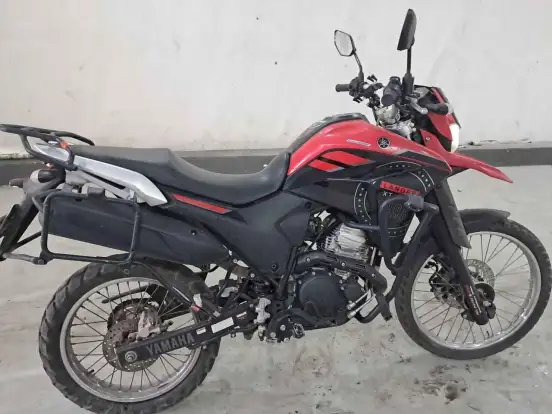 YAMAHA-XTZ 250 LANDER-2024