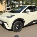BYD DOLPHIN MINI 38 KW ELÉTRICO GS BYD DOLPHIN MINI 38 KW ELÉTRICO GS