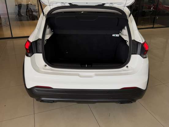 FIAT-PULSE-2021