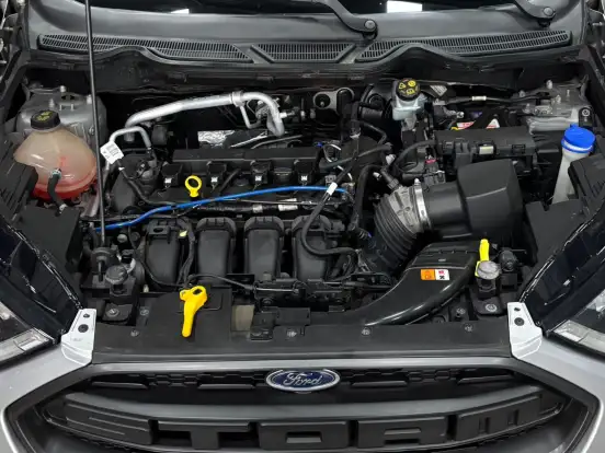 FORD-ECOSPORT-2.0 DIRECT FLEX STORM 4WD AUTOMÁTICO FORD-ECOSPORT-2019