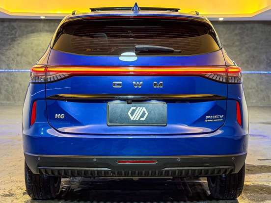 GWM-HAVAL H6-1.5 PHEV19 E-TRACTION GWM-HAVAL H6-2025