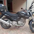 HONDA CBX 250 TWISTER HONDA CBX 250 TWISTER