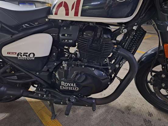 ROYAL ENFIELD-SHOTGUN 650 STENCIL WHITE ROYAL ENFIELD-SHOTGUN 650 STENCIL WHITE-2025