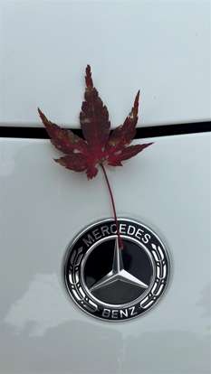MERCEDES-BENZ-A 200-1.6 CGI FLEX 7G-DCT MERCEDES-BENZ-A 200-2018