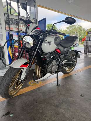 TRIUMPH-TRIDENT 800-2026