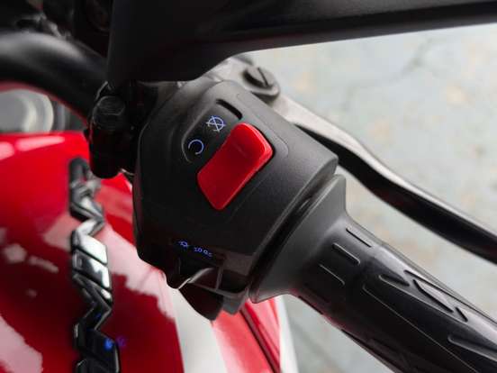 BAJAJ-DOMINAR 250 BAJAJ-DOMINAR 250-2024