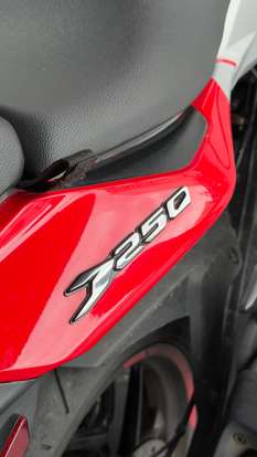 BAJAJ-DOMINAR 250-2024