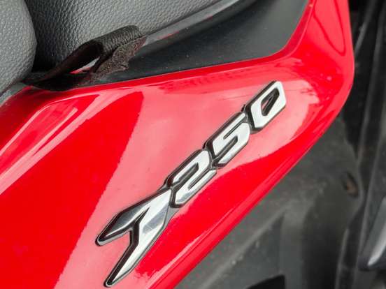 BAJAJ-DOMINAR 250 BAJAJ-DOMINAR 250-2024