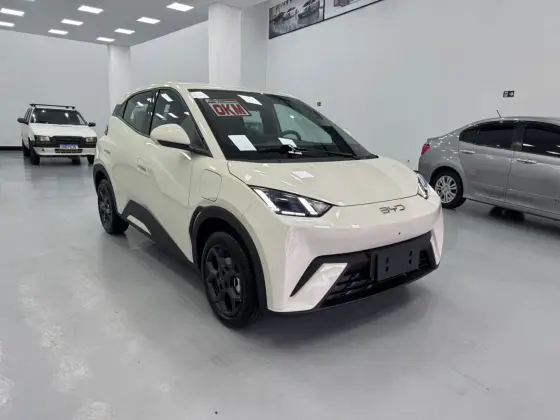 BYD DOLPHIN MINI 38 KW ELÉTRICO GS