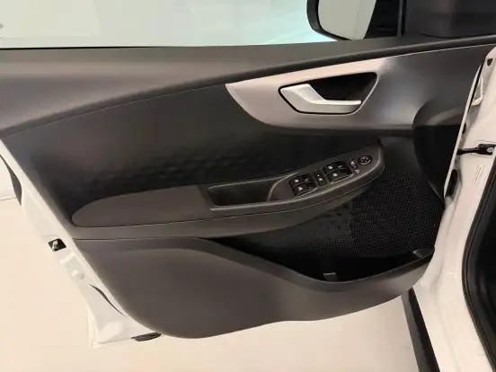 FIAT-PULSE-2025