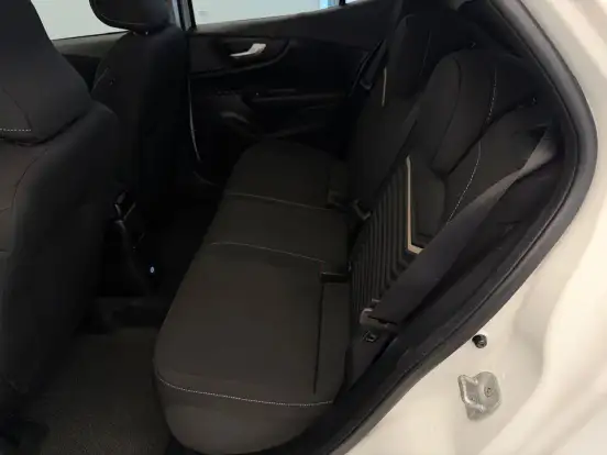 FIAT-PULSE-2025