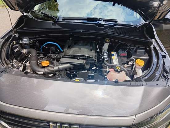 FIAT-PULSE-2024