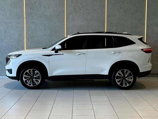 GWM-HAVAL H6-2024