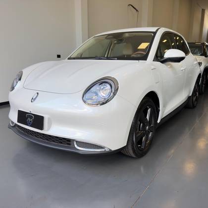 GWM ORA 03 48 KW ELÉTRICO SKIN