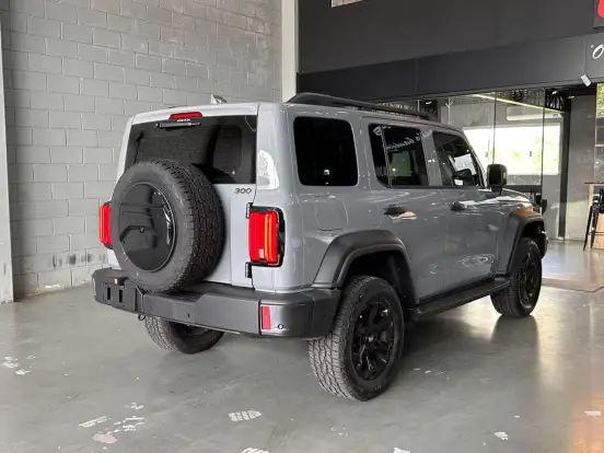 GWM-TANK 300-2.0 HI4-T PHEV FLEX 4X4 9HAT GWM-TANK 300-2026