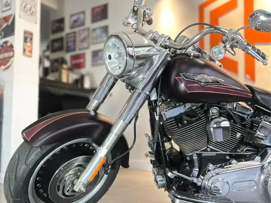HARLEY-DAVIDSON-FAT BOY FLSTF HARLEY-DAVIDSON-FAT BOY FLSTF-2007
